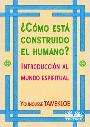 ¿Cómo Está Construido El Humano?