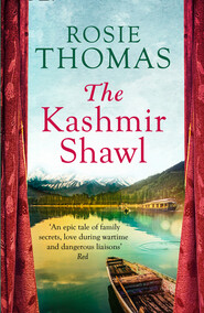 The Kashmir Shawl