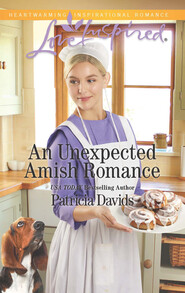 An Unexpected Amish Romance