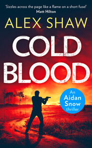 An Aidan Snow SAS Thriller