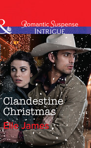 Clandestine Christmas