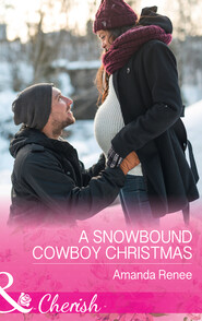 A Snowbound Cowboy Christmas