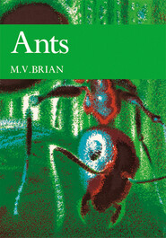 Ants