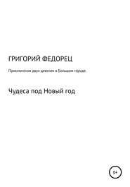 Приключения двух девочек в большом городе. Чудеса под Новый год