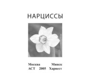 Нарциссы