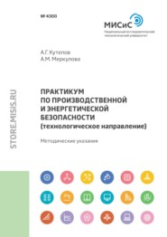 Практикум по производственной и энергетической безопасности (технологическое направление)