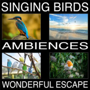 Singing Birds Ambiences, Wonderful Escape