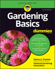 Gardening Basics For Dummies