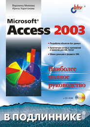 Microsoft Access 2003