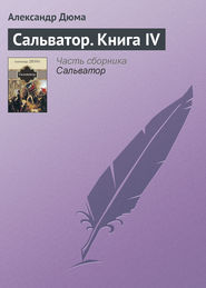 Сальватор. Книга IV