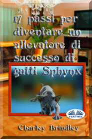 17 Passi Per Diventare Un Allevatore Di Successo Di Gatti Sphynx