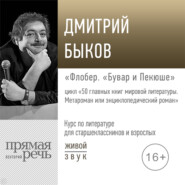 Лекция «Флобер. „Бувар и Пекюше“»