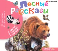 Лесные рассказы