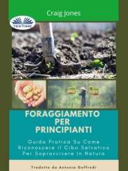 Foraggiamento Per Principianti