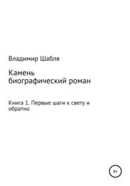 Камень. Биографический роман. Книга 1. Первые шаги к свету и обратно