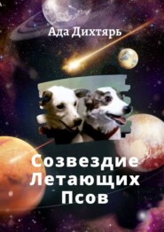 Созвездие Летающих Псов