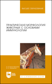 Практическая морфология животных с основами иммунологии