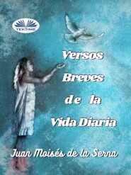 Versos Breves De La Vida Diaria