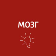 Мозг