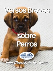 Versos Breves Sobre Perros