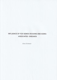 Influence of FOX genes on aging and aging-associated diseases