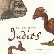 The Accidental Indies (Unabridged)