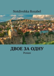 Двое за одну. Роман