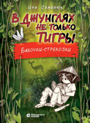 В джунглях не только тигры. Бабочки-стрекозки