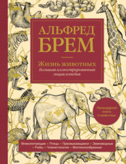 Жизнь животных. Большая иллюстрированная энциклопедия