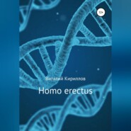 Homo erectus