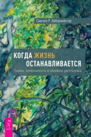 Когда жизнь останавливается. Травма, привязанность и семейная расстановка