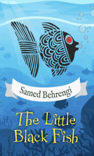 The Little Black Fish
