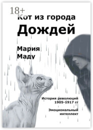 Кот из города дождей