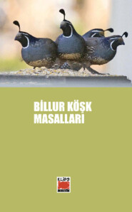 Billur Köşk Masalları