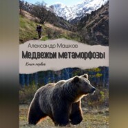 Медвежьи метаморфозы