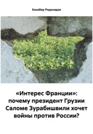 «Интерес Франции»: почему президент Грузии Саломе Зурабишвили хочет войны против России?