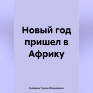 Новый год пришел в Африку