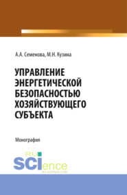 Управление энергетической безопасностью хозяйствующего субъекта. (Бакалавриат, Магистратура). Учебно-методическое пособие.