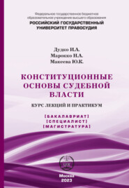 Конституционные основы судебной власти. Курс лекций и практикум