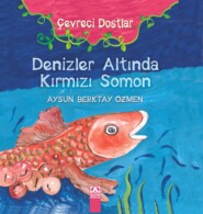 ÇEVRECI DOSTLAR – DENIZLER ALTINDA KIRMIZI SOMON