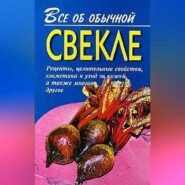 Все об обычной свекле