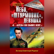 Небо, «штурмовик», девушка. «Я – „Береза!“ Как слышите меня?..