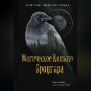 Магическое кольцо Бродгара «Наследство». Книга 1