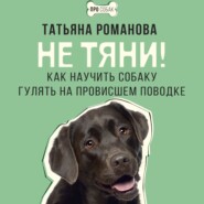 Не тяни! Как научить собаку гулять на провисшем поводке