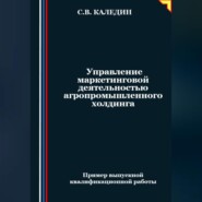 Управление маркетинговой деятельностью агропромышленного холдинга