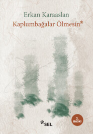 Kaplumbağalar Ölmesin