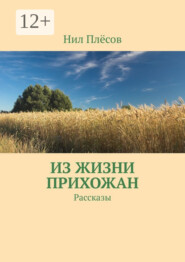 Из жизни прихожан. Рассказы