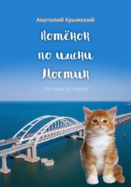 Котенок по имени Мостик