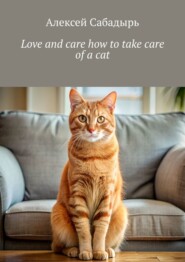 Love and care how to take care of a cat