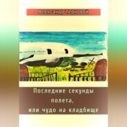 Последние секунды полета, или чудо на кладбище